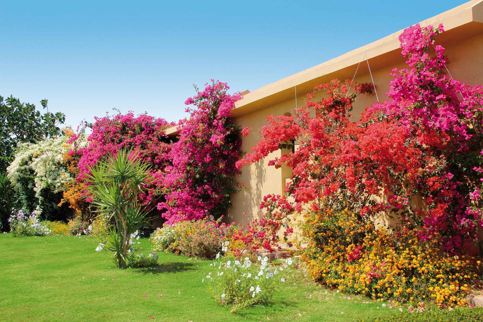 Three Corners Fayrouz Plaza Beach Resort - 4* pas cher photo 5