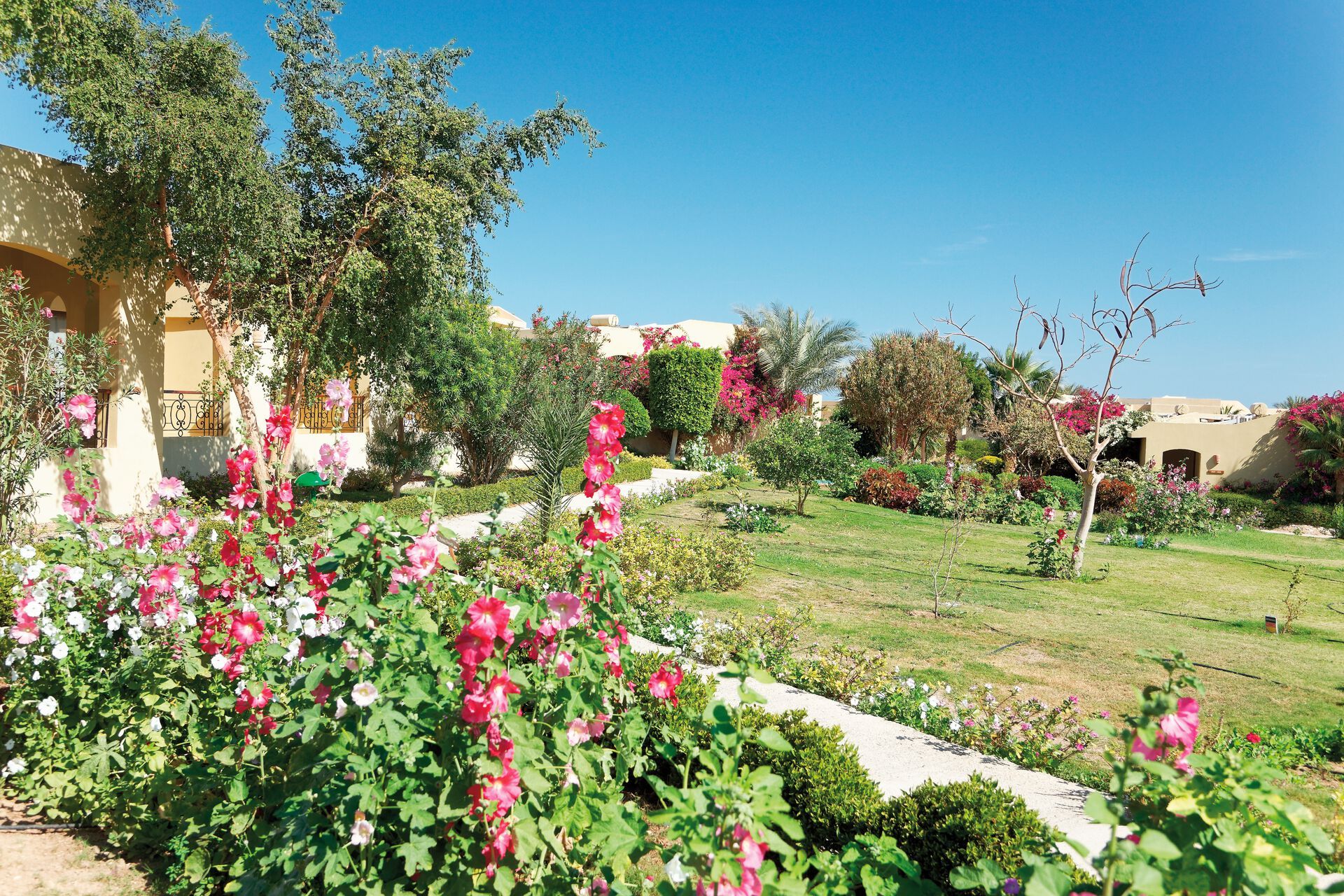 Three Corners Fayrouz Plaza Beach Resort - 4* pas cher photo 9