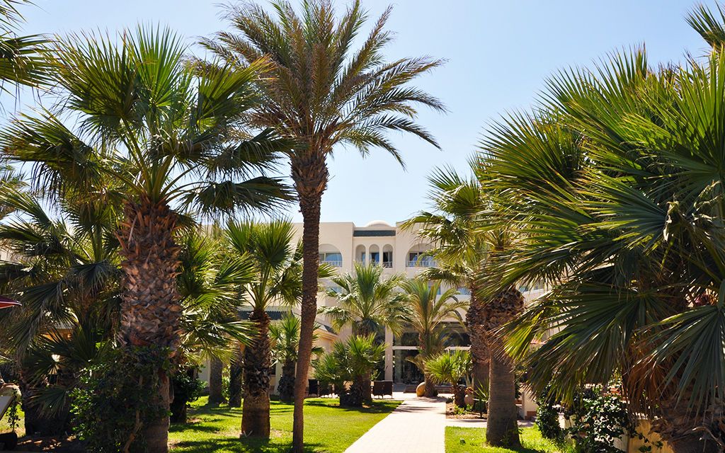 Hôtel Hasdrubal Thalassa & Spa Djerba 5* pas cher photo 4