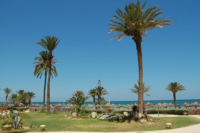 SEJOUR CURE REMISE EN FORME 3 JOURS/4 SOINS, EDEN STAR ZARZIS 4*, tout compris (7 nuits) pas cher photo 1