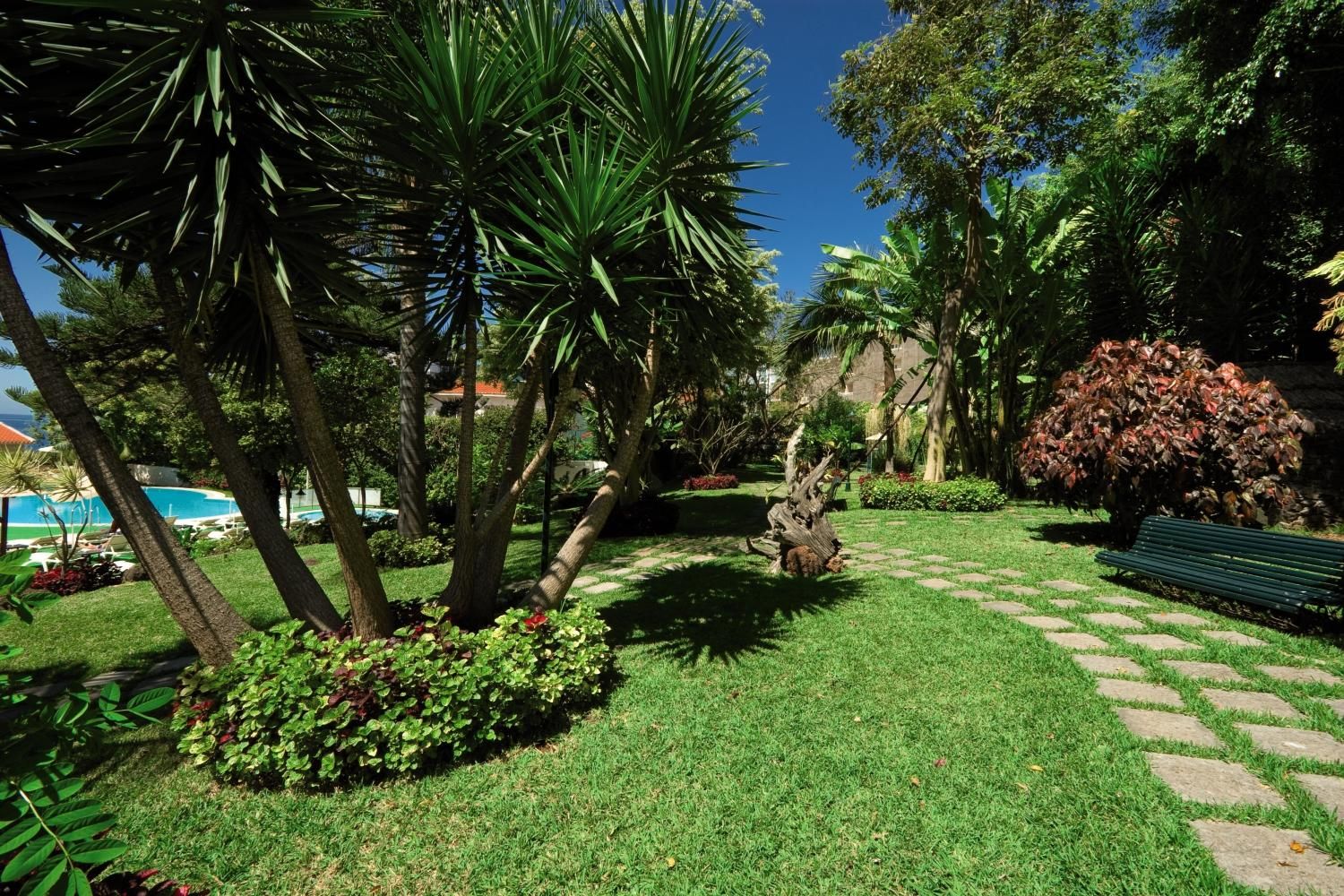 Girassol - 4* pas cher photo 1