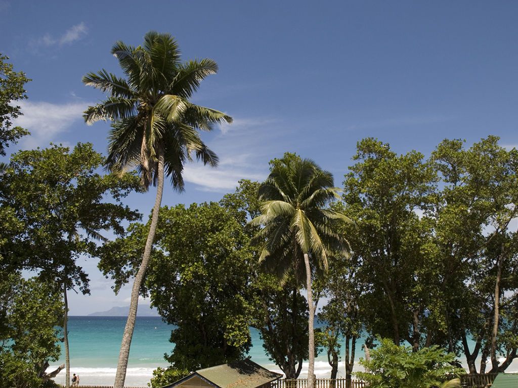 Augerine 2^ sup pas cher photo 4