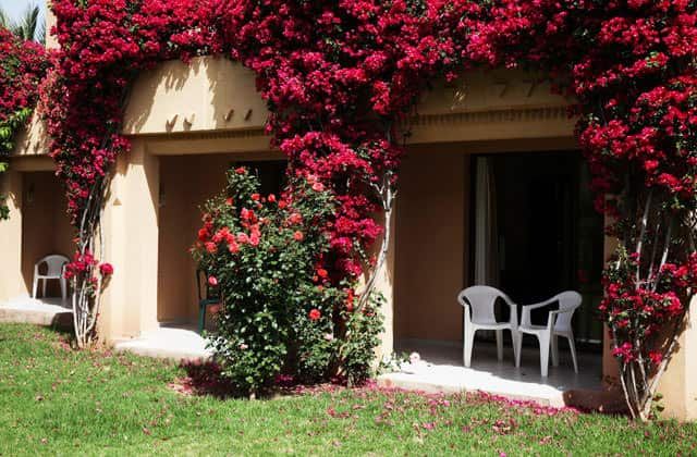 Club Marmara Madina - Vols Charters pas cher photo 11