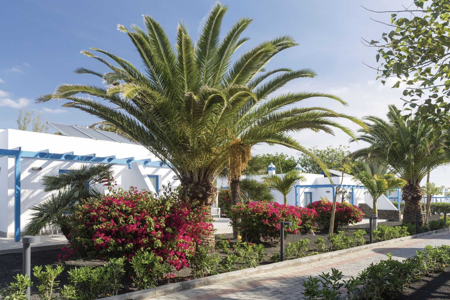 Elba Premium Suites - 4* pas cher photo 6
