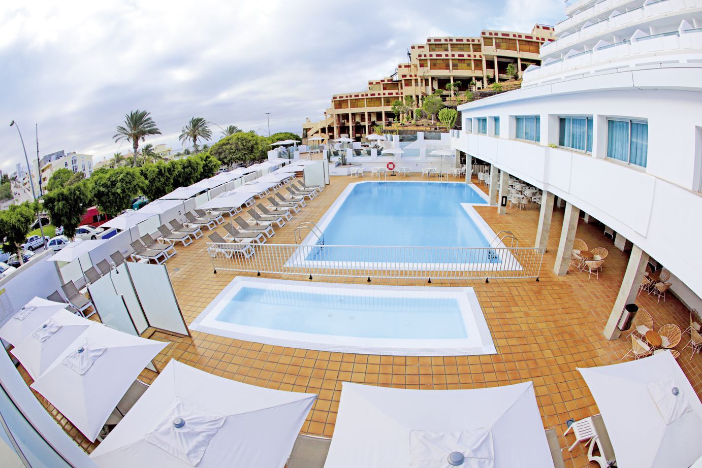 Lemon & Soul Cactus Garden - 4* pas cher photo 7