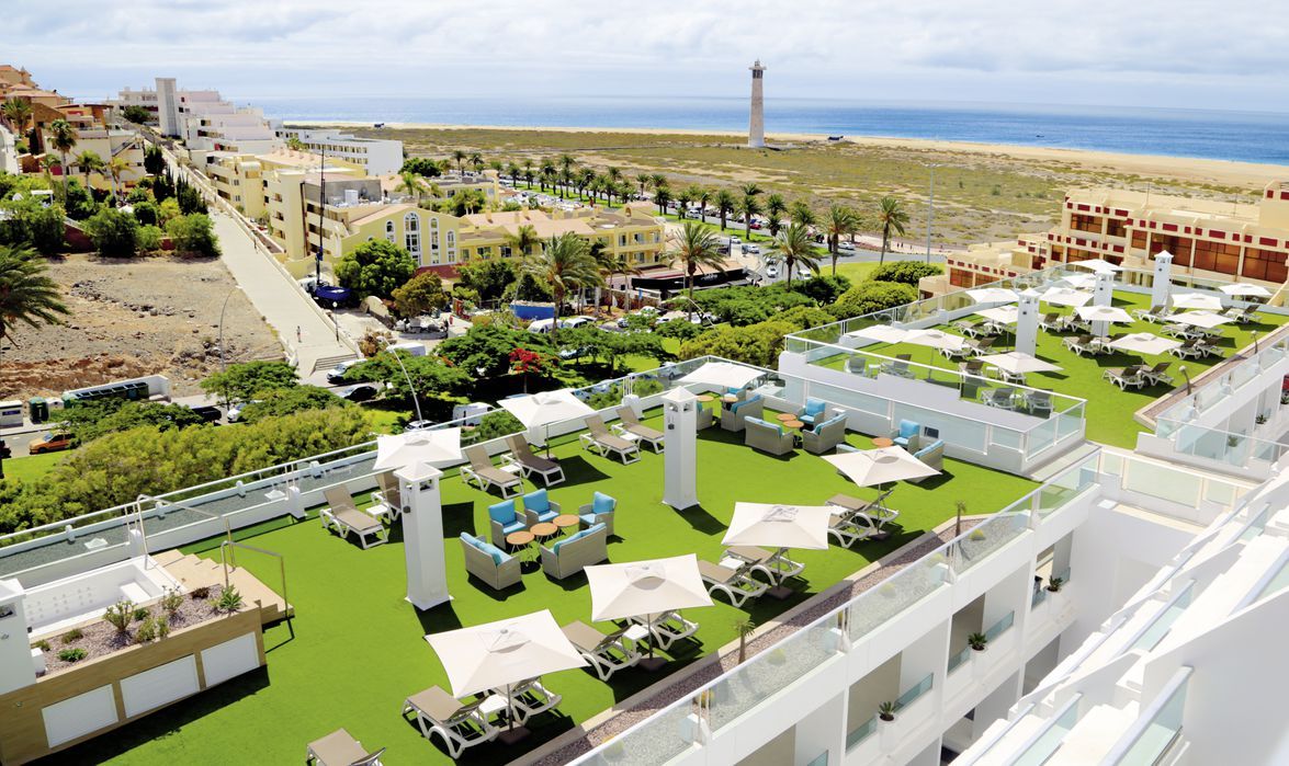 Lemon & Soul Cactus Garden - 4* pas cher photo 8