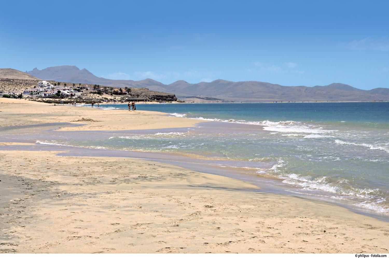 Lemon & Soul Cactus Garden - 4* pas cher photo 11