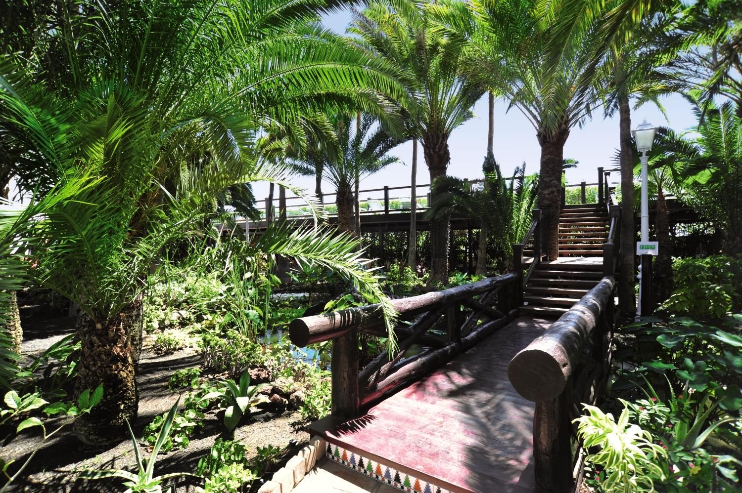 Parque Tropical - 4* pas cher photo 7