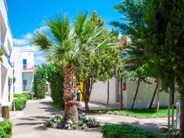 Armonia Holiday Village & Spa 5* Bodrum pas cher photo 3