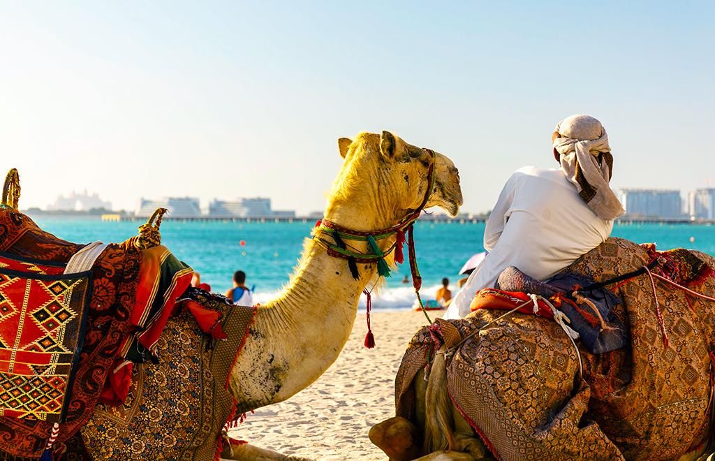 Zabeel House Al Seef 4* pas cher photo 4