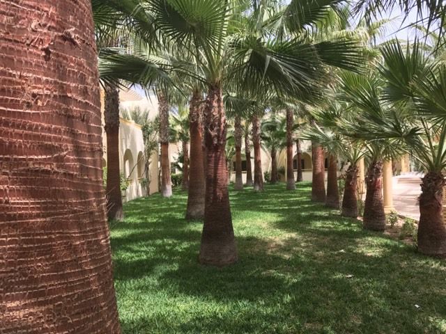 The Ksar Djerba 4* pas cher photo 10