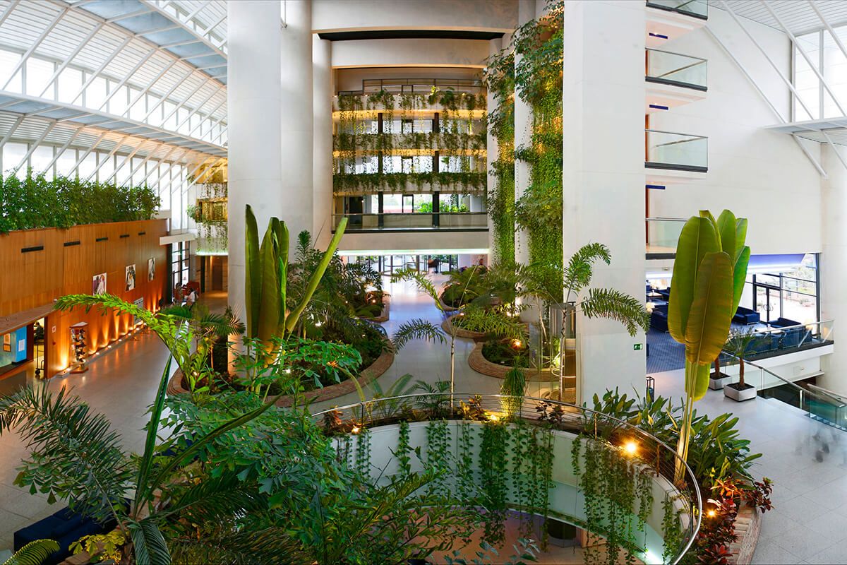 Hôtel MELIA Benidorm pas cher photo 6
