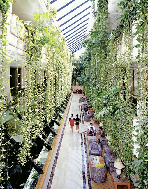 Gala - 4* pas cher photo 7