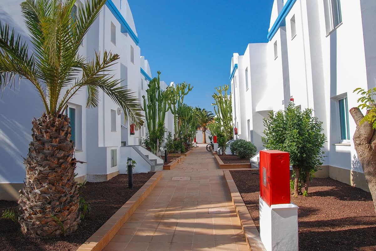 Hôtel Arena Beach - Vols Réguliers pas cher photo 8