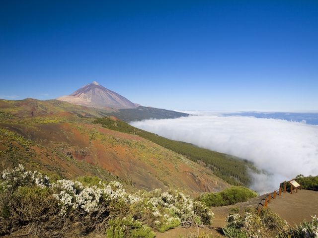 Hotel Vincci Tenerife Golf 4* pas cher photo 9