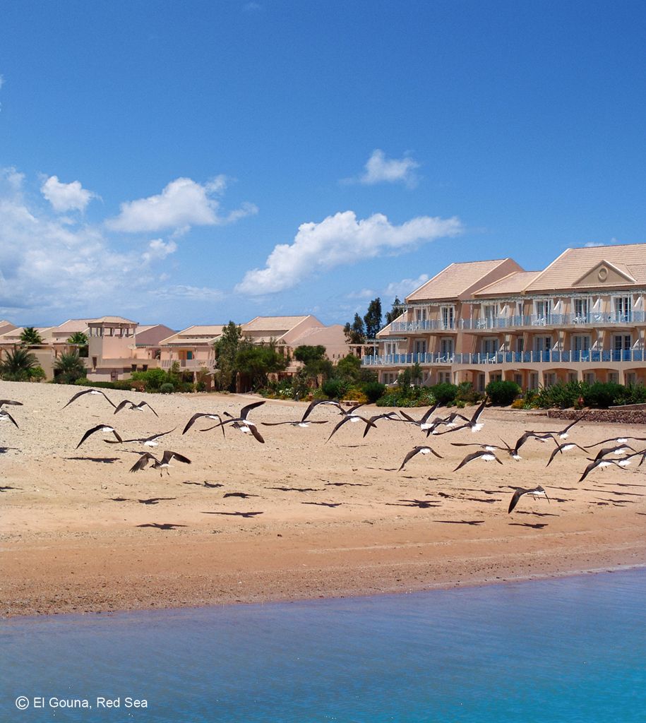 Movenpick Resort & Spa El Gouna 5* Hurghada pas cher photo 4