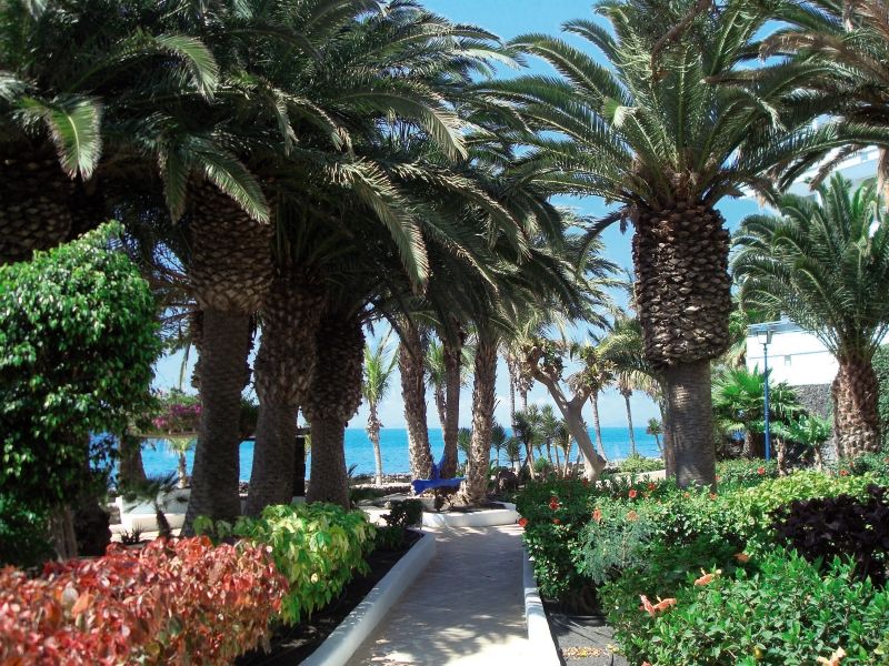 Vik Hotel San Antonio - - 4* pas cher photo 4