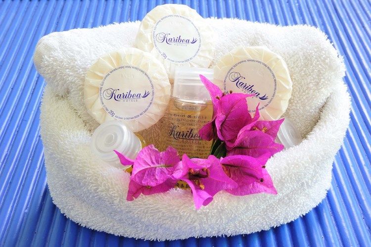 Appartements Caribia Resort Sainte Luce 3* avec Location de voiture pas cher photo 9