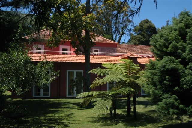 Enotel Golf - Madère pas cher photo 3