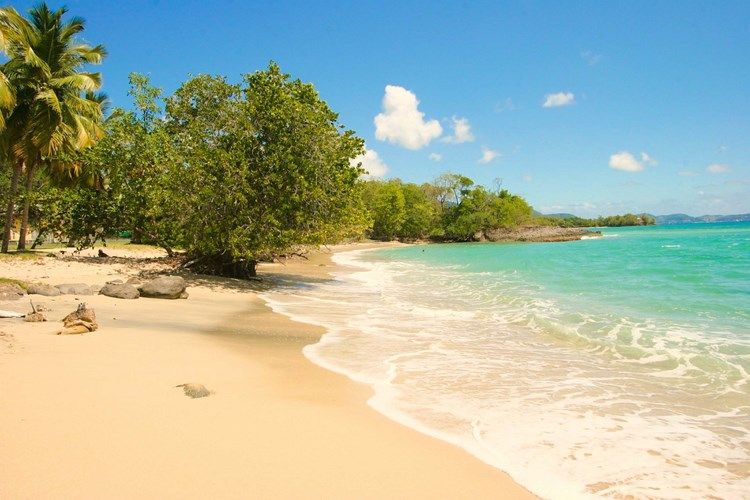 Karibea Resort Sainte Luce 3* avec Location de voiture pas cher photo 3