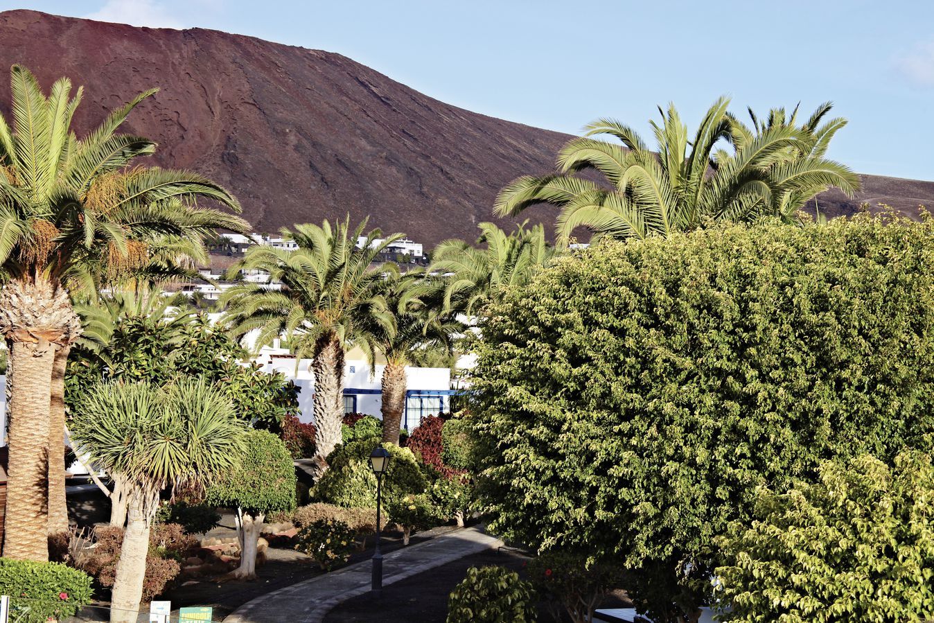 Marconfort Atlantic Gardens Bungalows - 3* pas cher photo 8