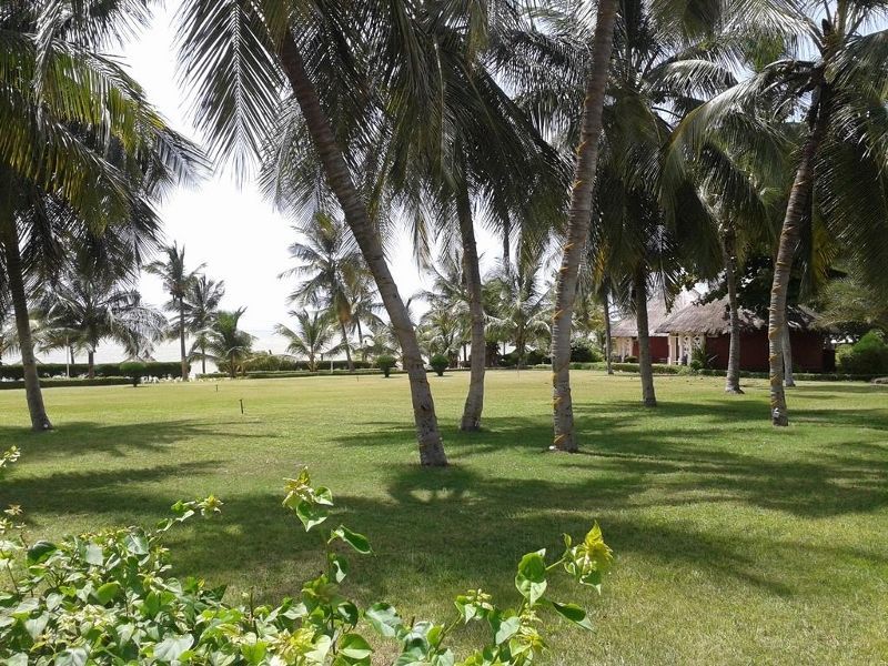 Royam 4* pas cher photo 8