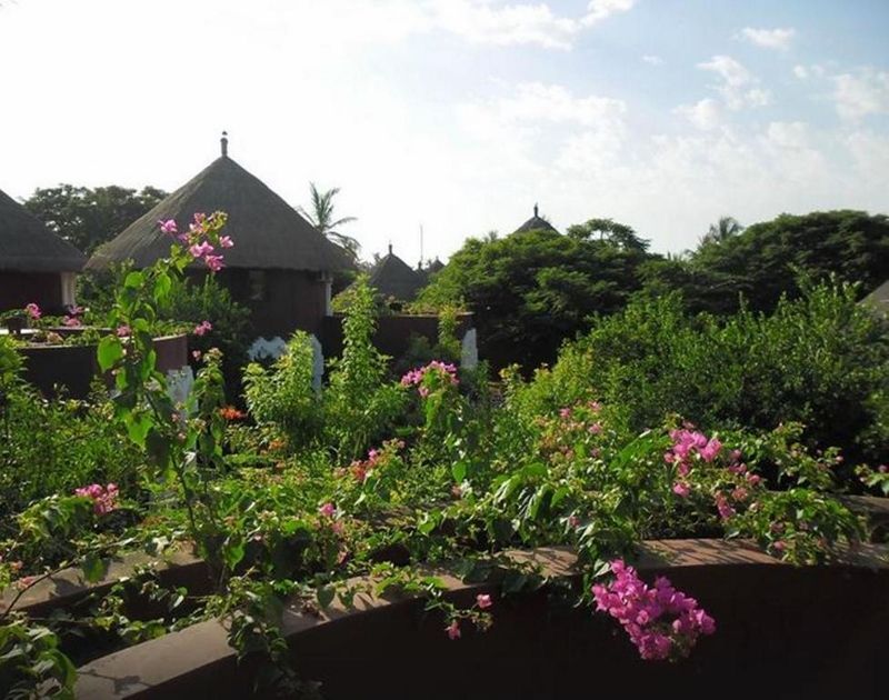 Royam 4* pas cher photo 9