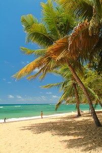 Karibea Residence La Goelette 3* pas cher photo 9