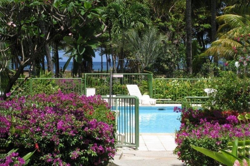 Fleurs des Iles 2* avec Location de voiture pas cher photo 8