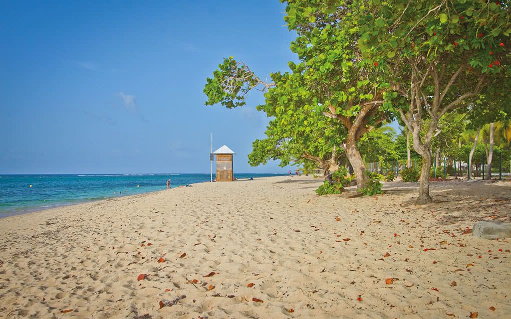 Résidence Tropicale - Location de voiture incluse pas cher photo 3