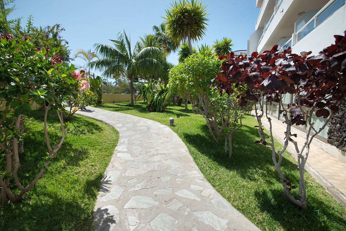 Hôtel Catalonia Oro Negro - Eté 2019 pas cher photo 9