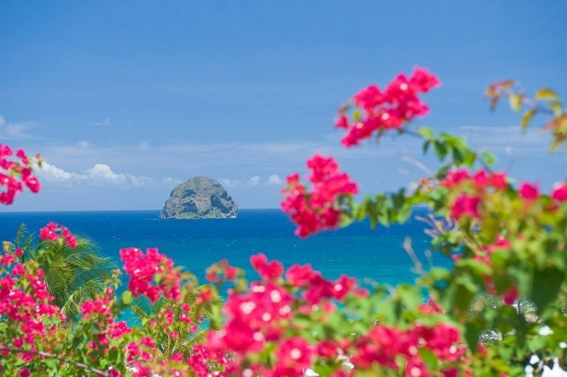 Diamant Beach Martinique 2* avec Location de voiture pas cher photo 12