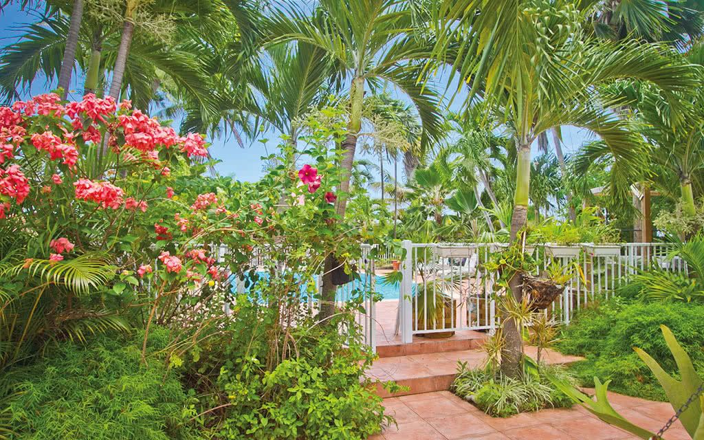 Résidence Oasis du Levant pas cher photo 7