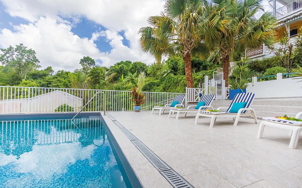 Alamanda Jaune pas cher photo 1