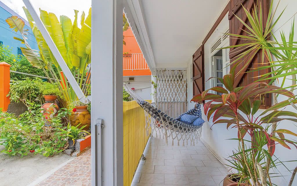 Alamanda Jaune pas cher photo 6