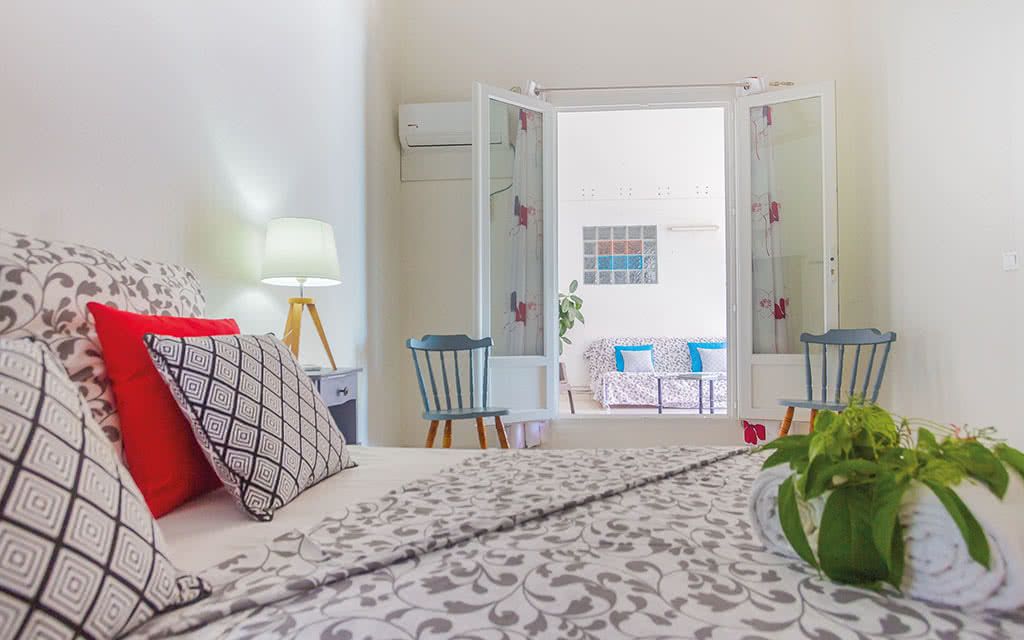 Alamanda Jaune pas cher photo 7