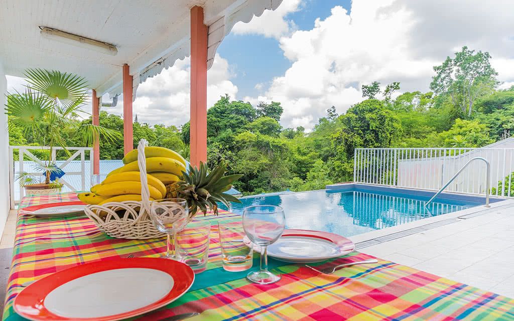 Alamanda Jaune pas cher photo 8