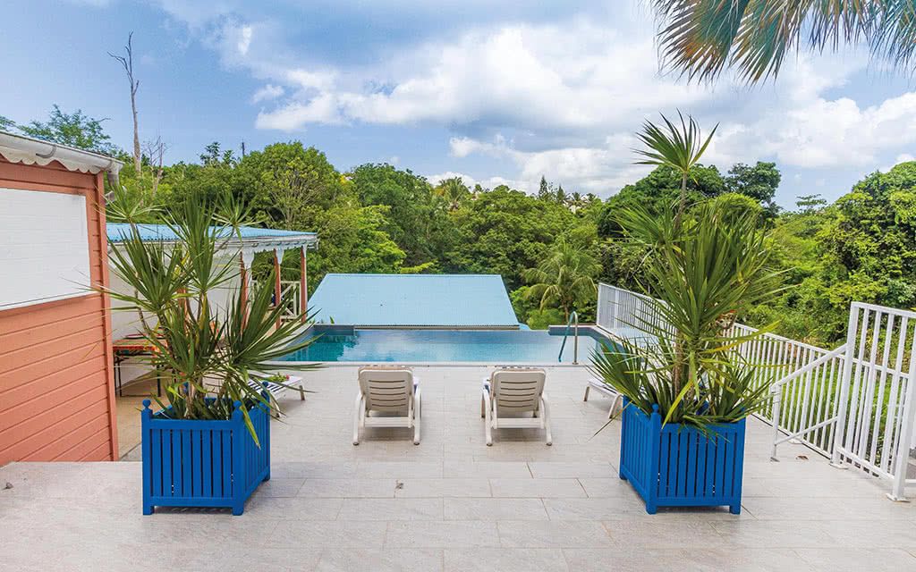 Alamanda Jaune pas cher photo 10