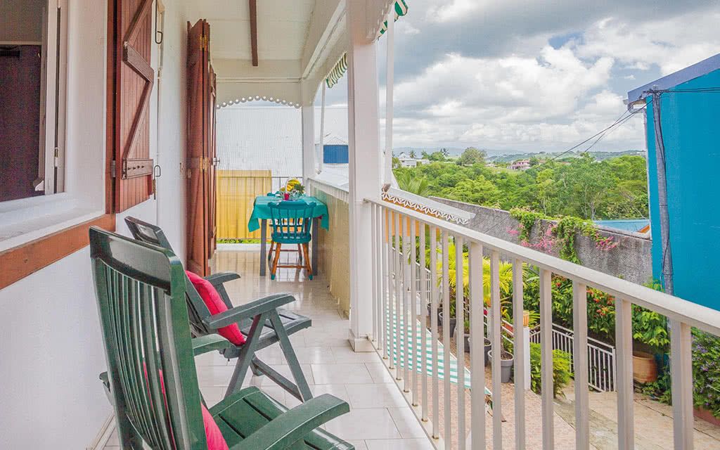 Alamanda Jaune pas cher photo 11