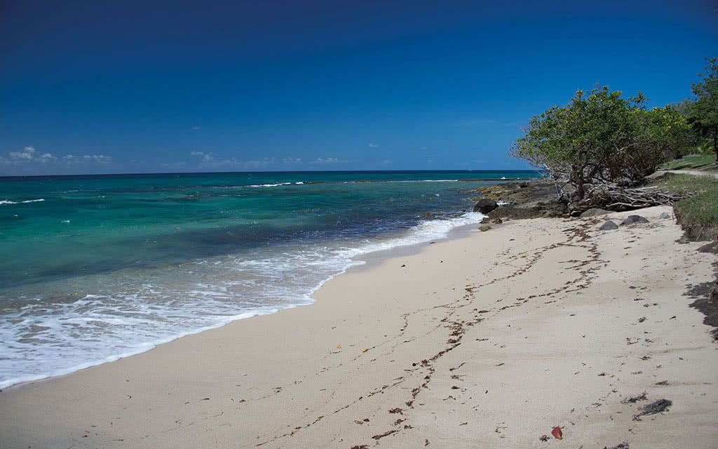 Hôtel Karibéa Amandiers - Location de voiture incluse 3* pas cher photo 9