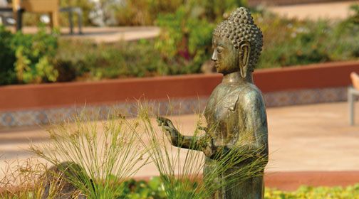 Quinta Splendida - Madère pas cher photo 4