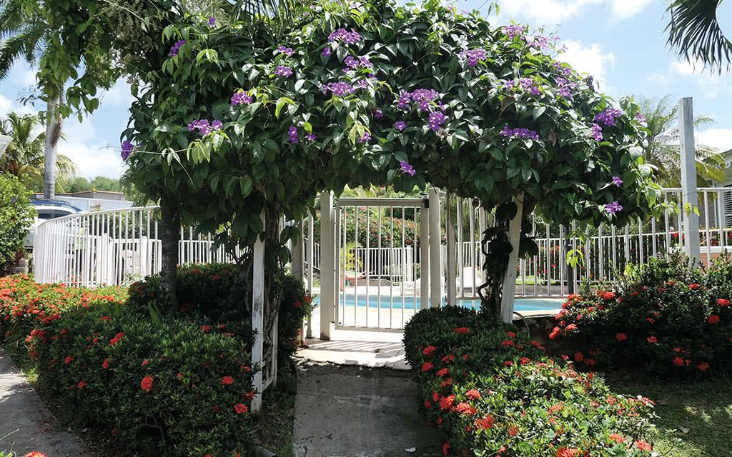 Les Bungalows du Verger pas cher photo 9