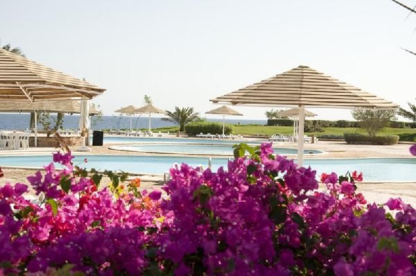 Three Corners Equinox Resort 4* pas cher photo 5