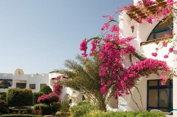 Three Corners Equinox Resort 4* pas cher photo 6