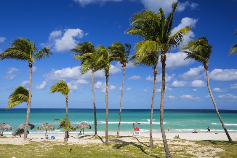 Starfish Las Palmas 3* - Adult Only pas cher photo 4