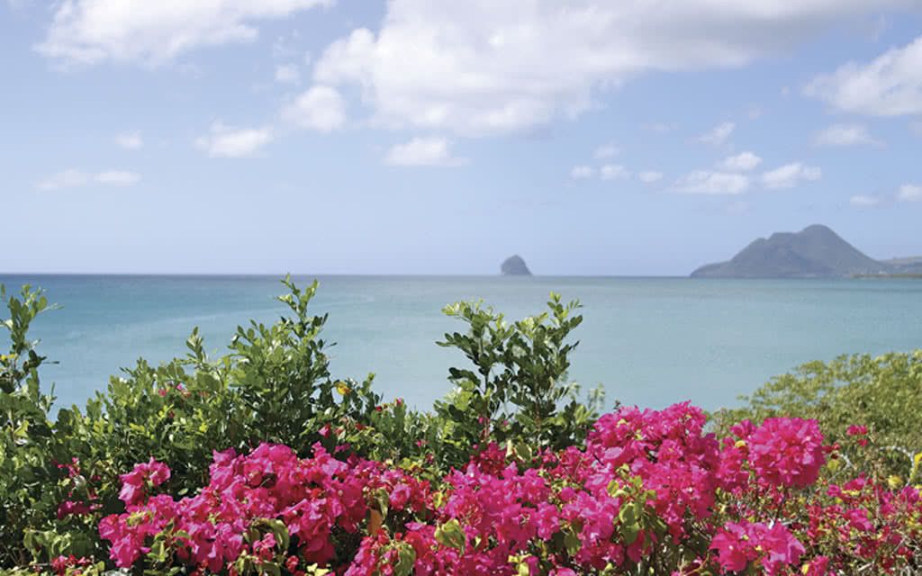 Résidence Corail - Offre spéciale Noces pas cher photo 9