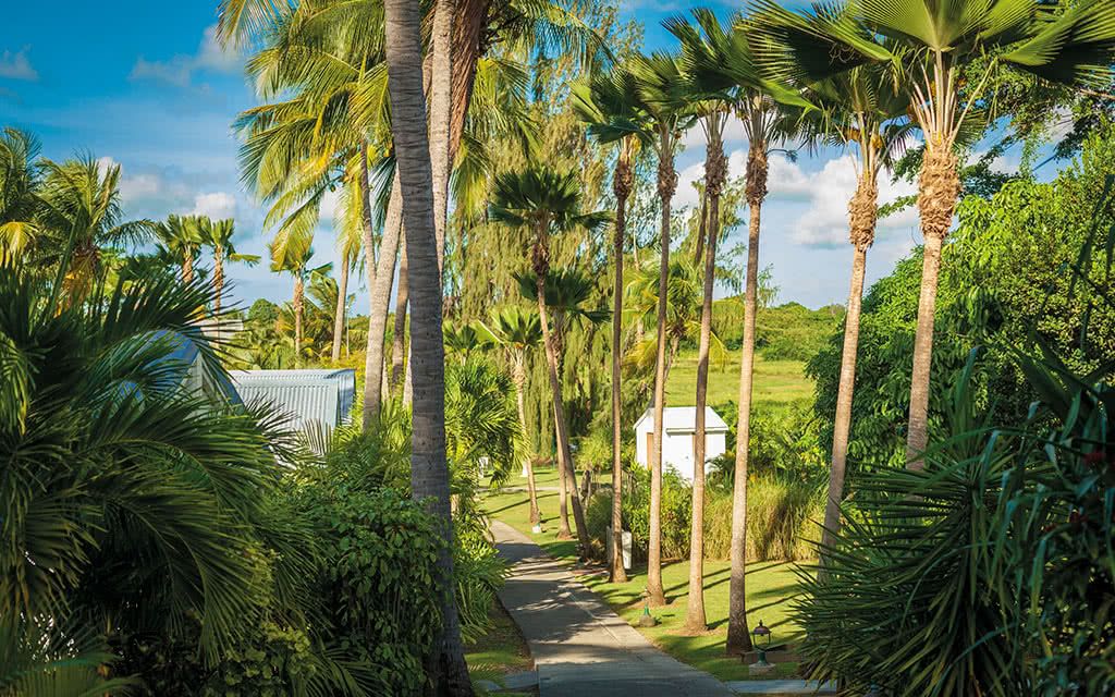 Le Relais du Moulin - Offre spéciale Noces 4* pas cher photo 12