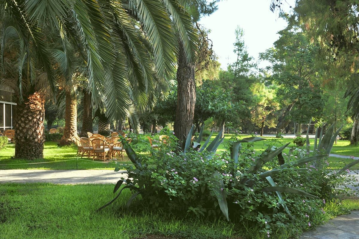 Club Marmara King Saron - Vols réguliers pas cher photo 8