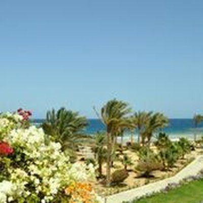 Royal Brayka Resort 4* pas cher photo 9