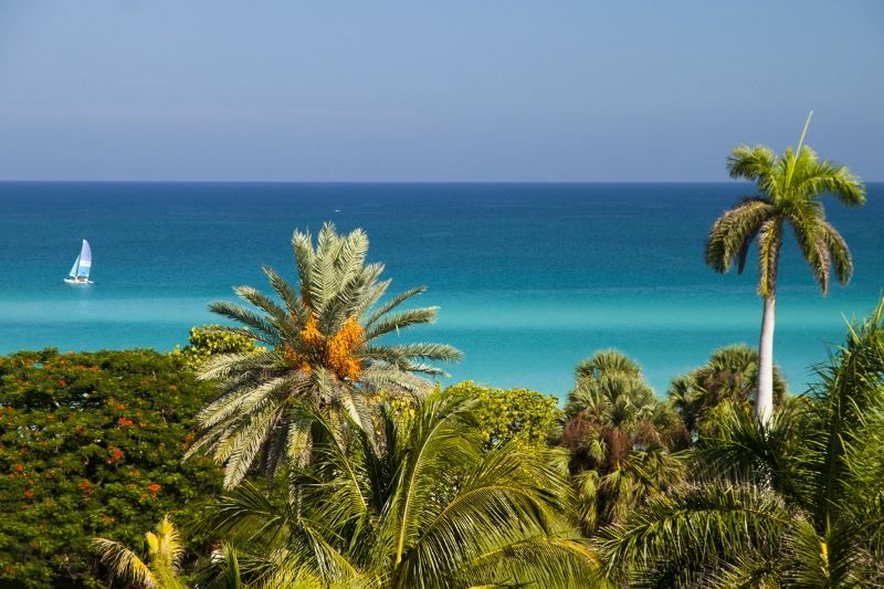 Occidental Arenas Blancas 5* pas cher photo 9